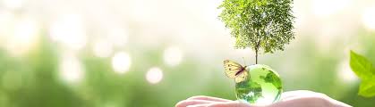 nlp persoonlijke ontwikkeling