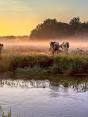 twente nederland