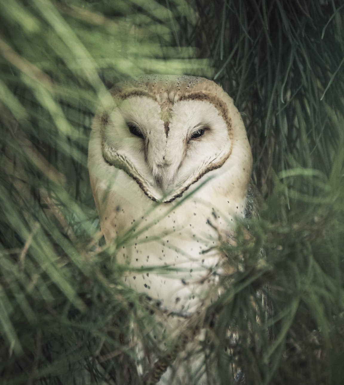 cursus natuurfotografie