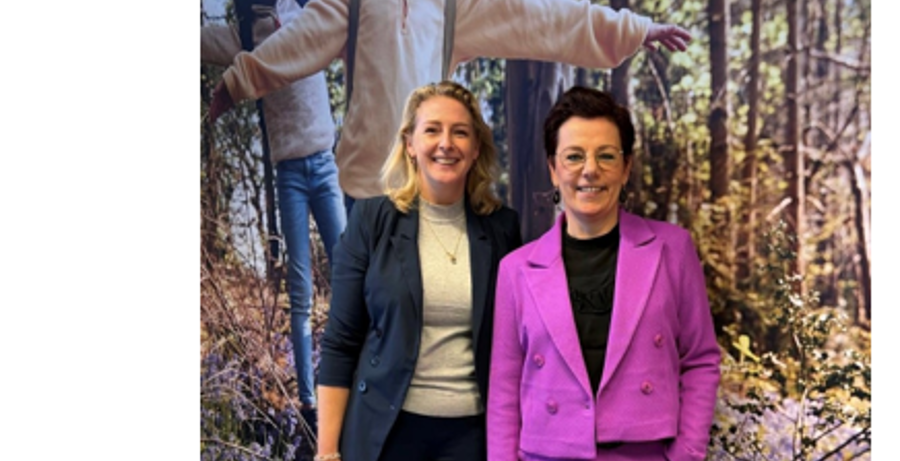 directeur basisonderwijs